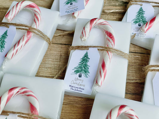 Holiday Christmas Party Soap Favors